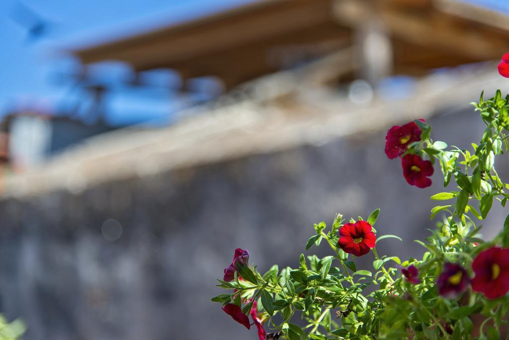 Fagotto Art Residences Chania  Zewnętrze zdjęcie